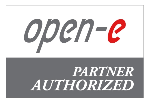 Open-E authorized partner